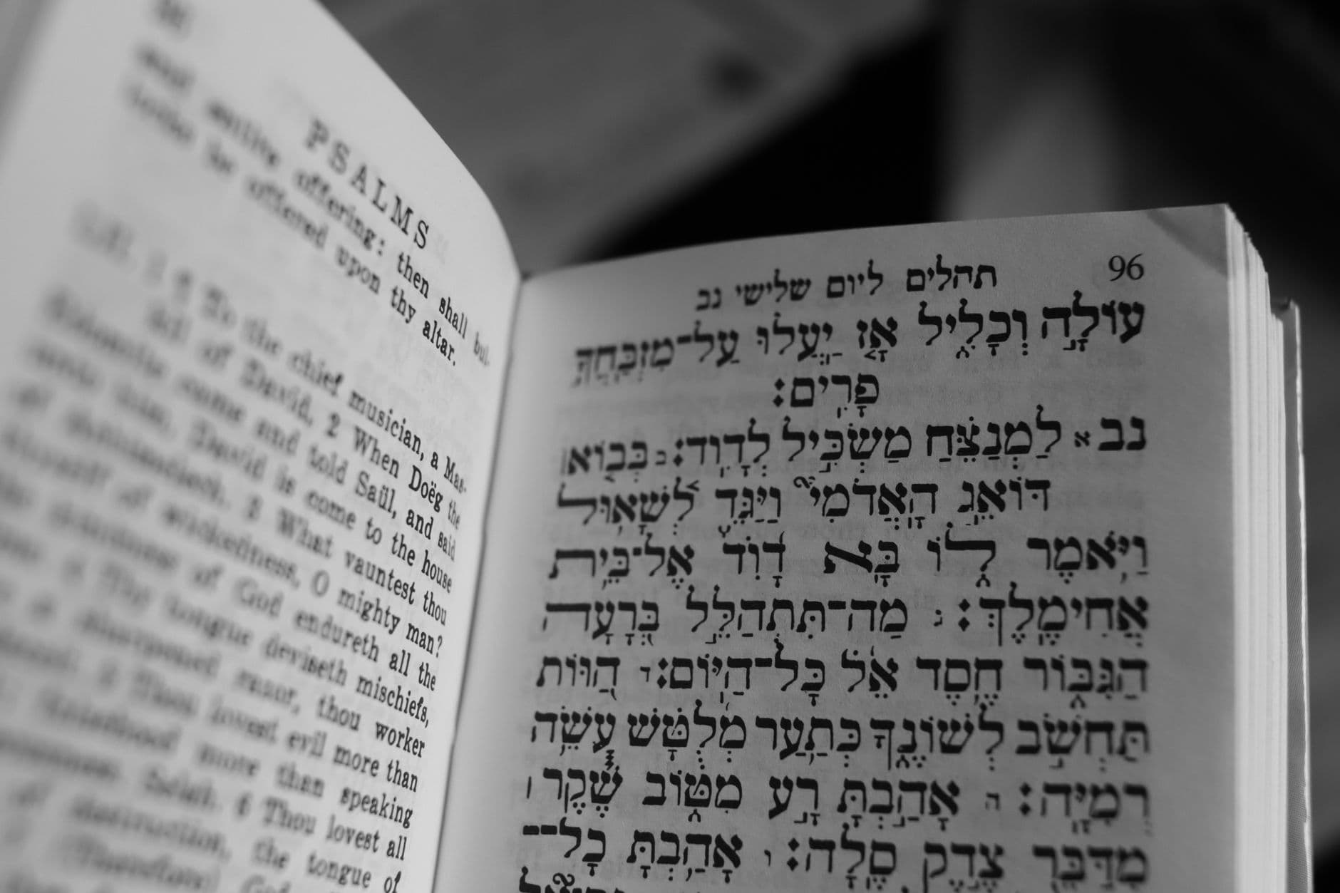 Top 5 Bible Translations for Deep Study vs Daily Reading (With App Recommendations)