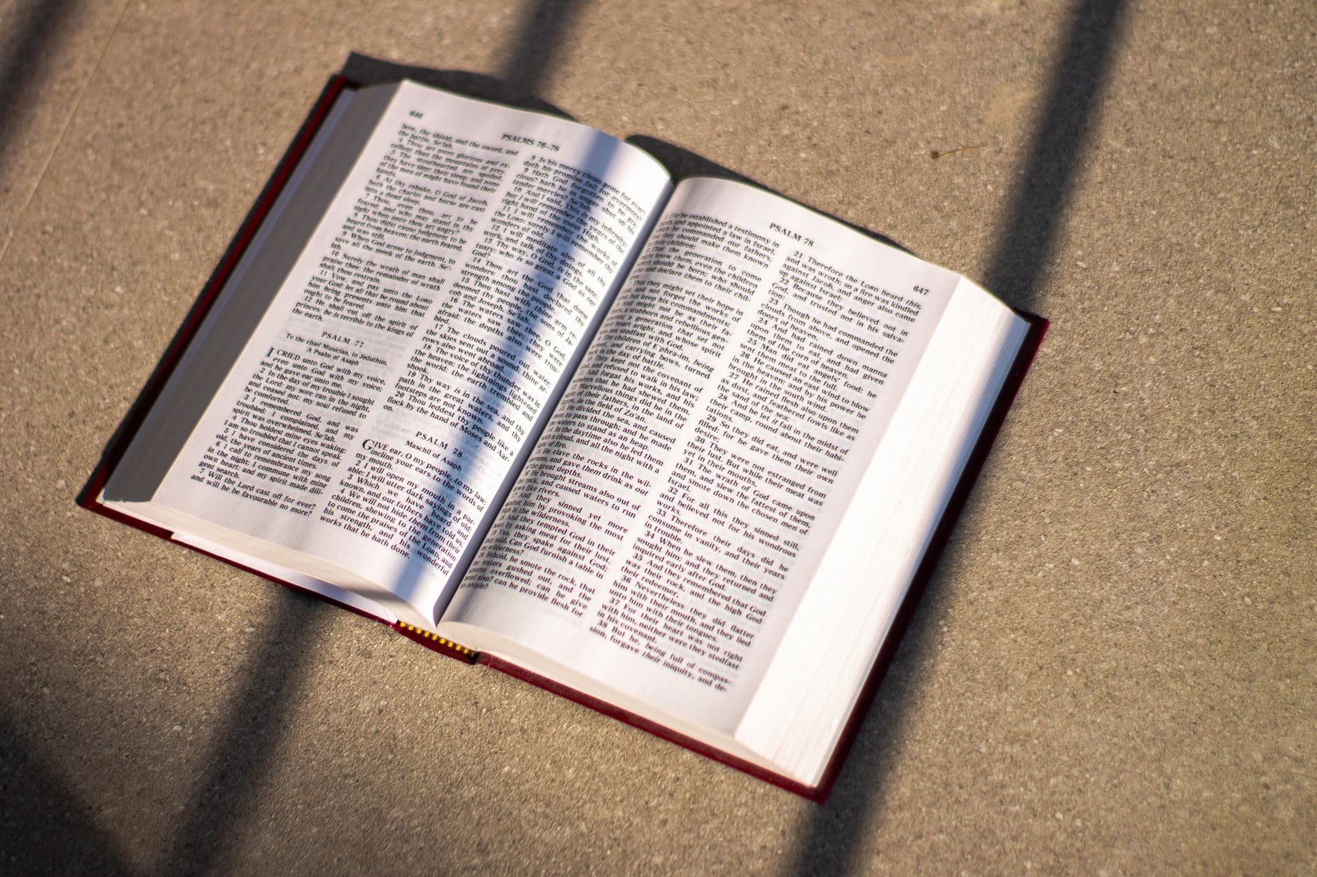 The 7 Best Free Bible Reading Plans for Beginners in 2026