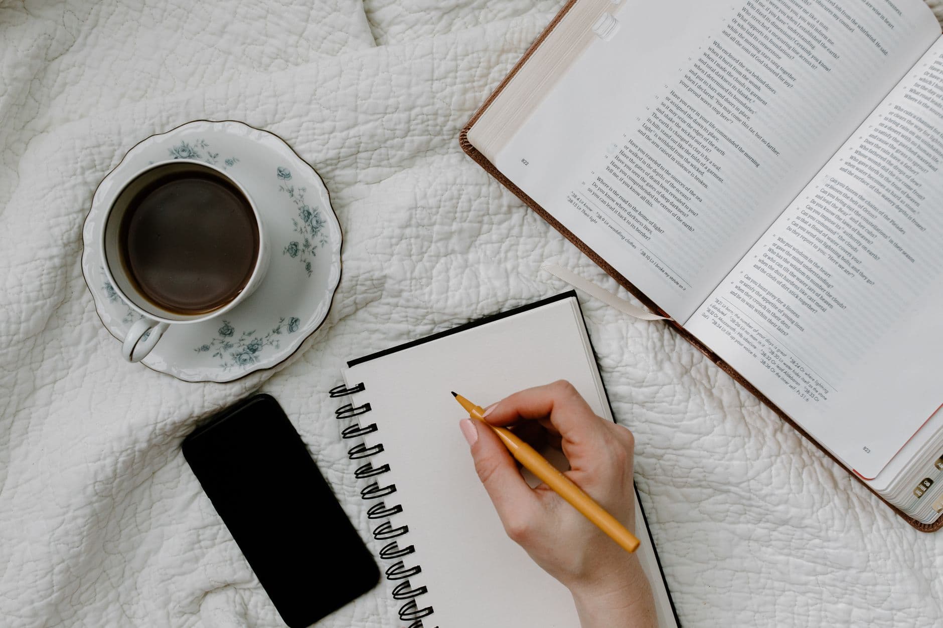 7 Best Free Bible Study Apps for Beginners in 2026