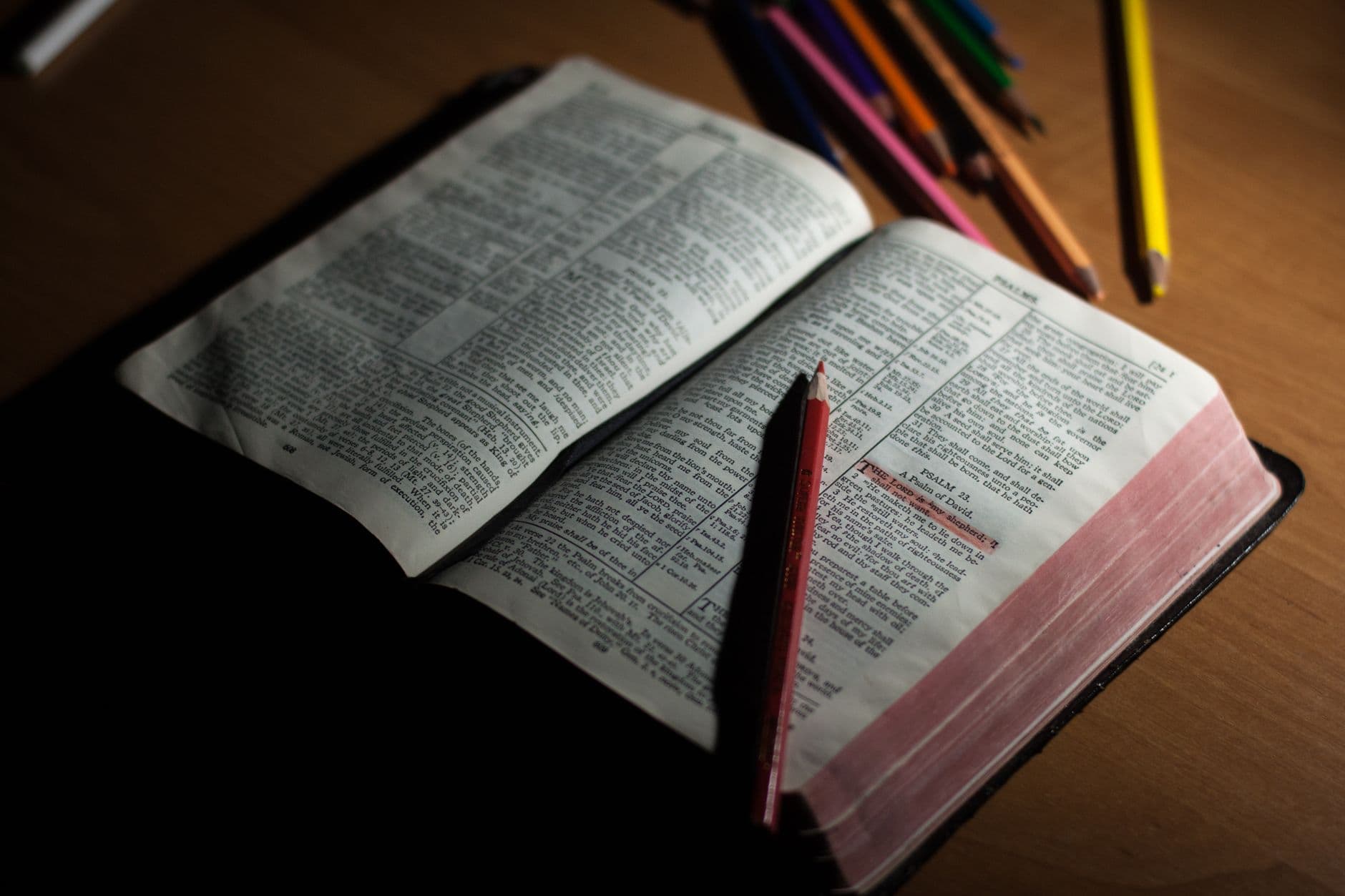 Best Bible Study Tools for Beginners: A Simple Starter Guide