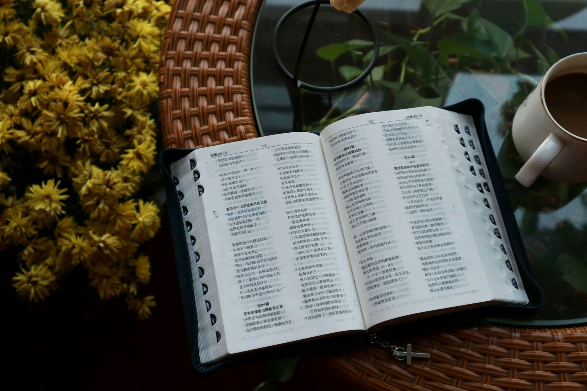 Bible Translations to Avoid? How to Discern Reliable Versions in Bible Apps Without the Drama