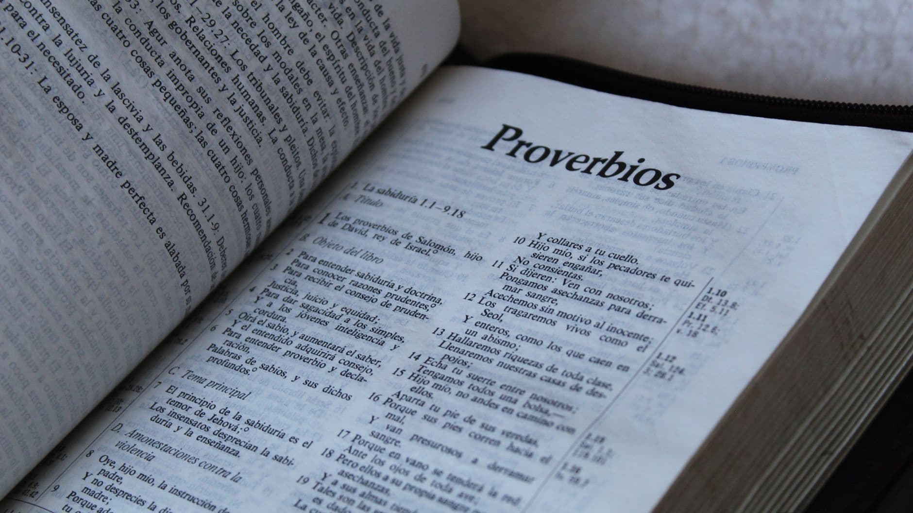 How Many Cross References Are in the Bible? A Data-Driven Guide for Bible Study