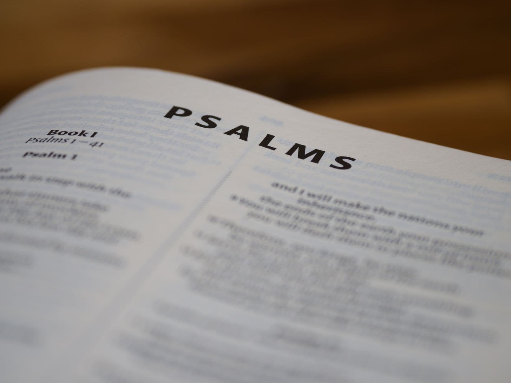 Bible Translations to Avoid? A Balanced, Criteria-Based Guide for Digital Bible Study
