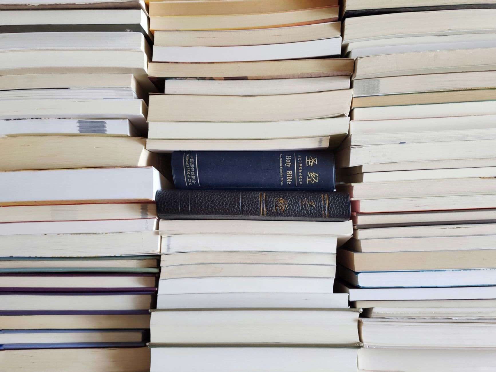 7 Bible Translations Ranked by Reading Level: Find Your Perfect Study Match
